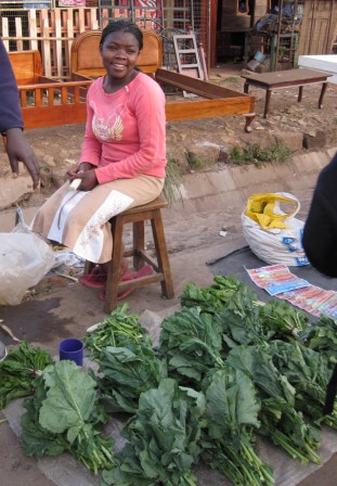 Photo 7 from MicroFinancing Partners in Africa